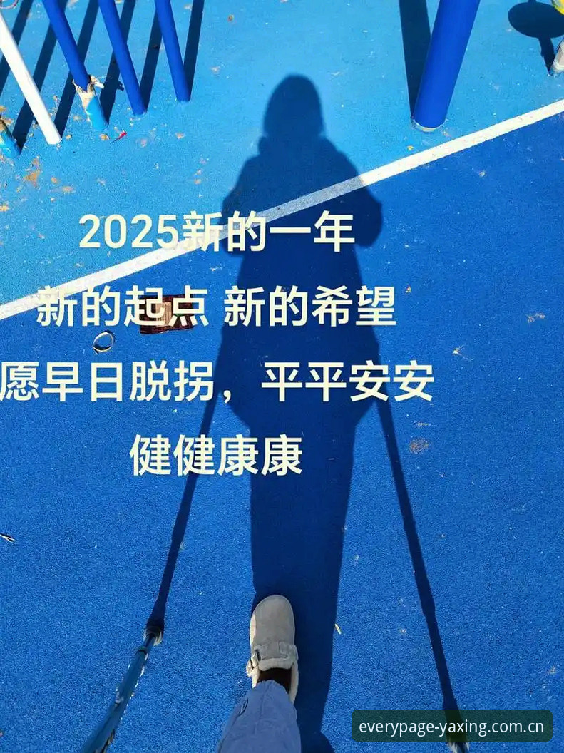 每页皆起点v2.6下载全面解析：从对比视角看亚星官网CN版2025的选择逻辑